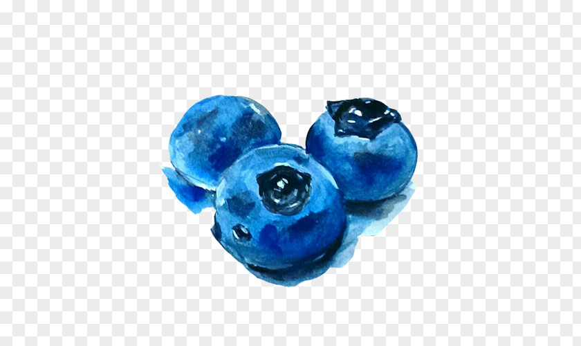 Blueberry Blooming Watercolor Painting Hand PNG