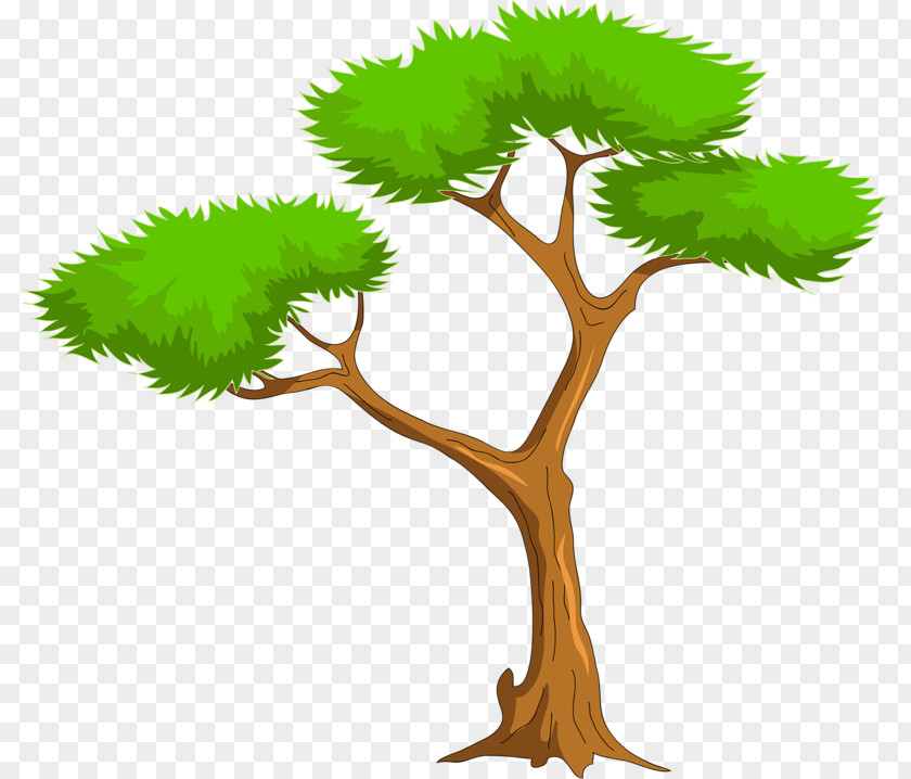 Clip Art Trees And Leaves Image Vector Graphics PNG