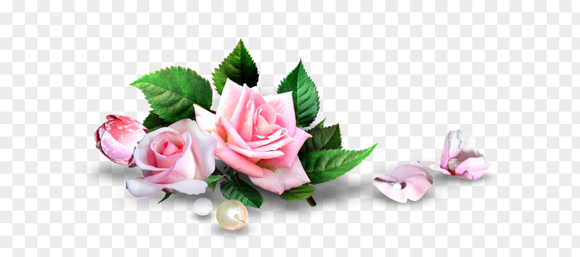 Flower Garden Roses PNG