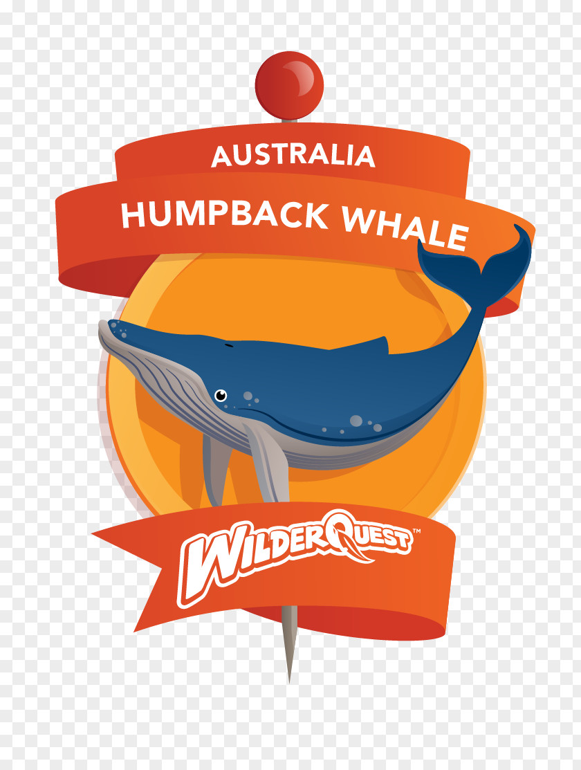 Humpback Whale Logo Cetacea PNG