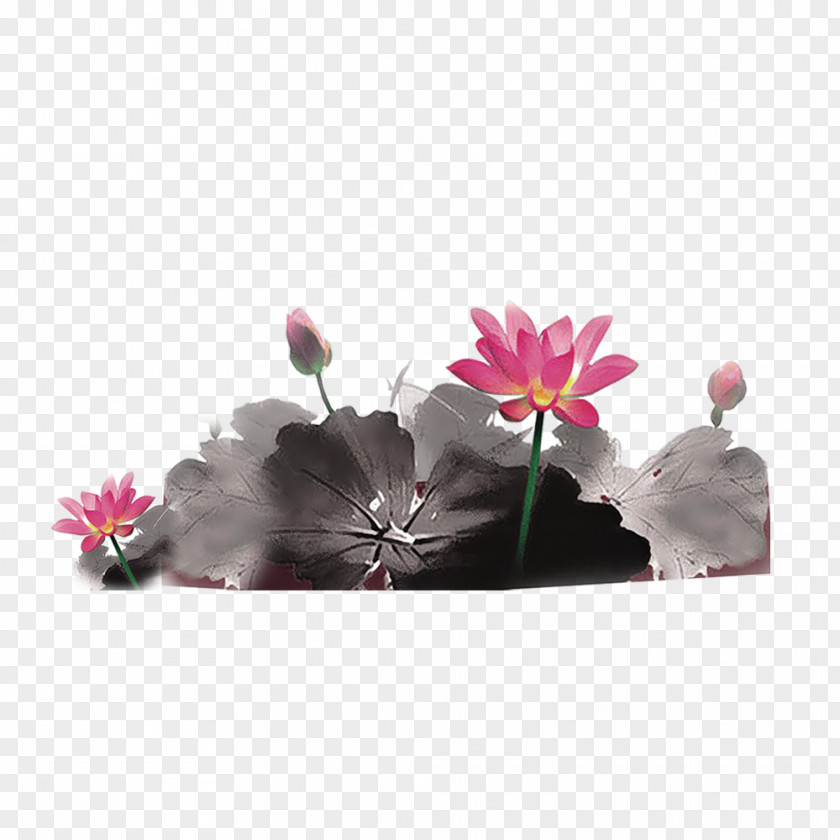 Lotus Ink Wash Painting Chinese PNG