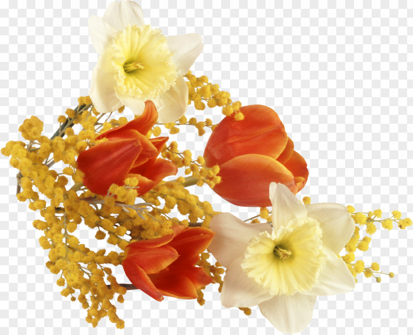 Mimosa Flower Bouquet Desktop Wallpaper Floral Design Mobile Phones PNG