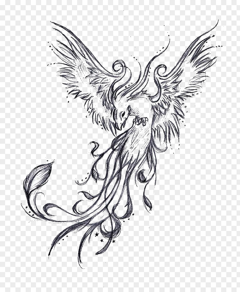 Phoenix Sleeve Tattoo Drawing Legendary Creature PNG