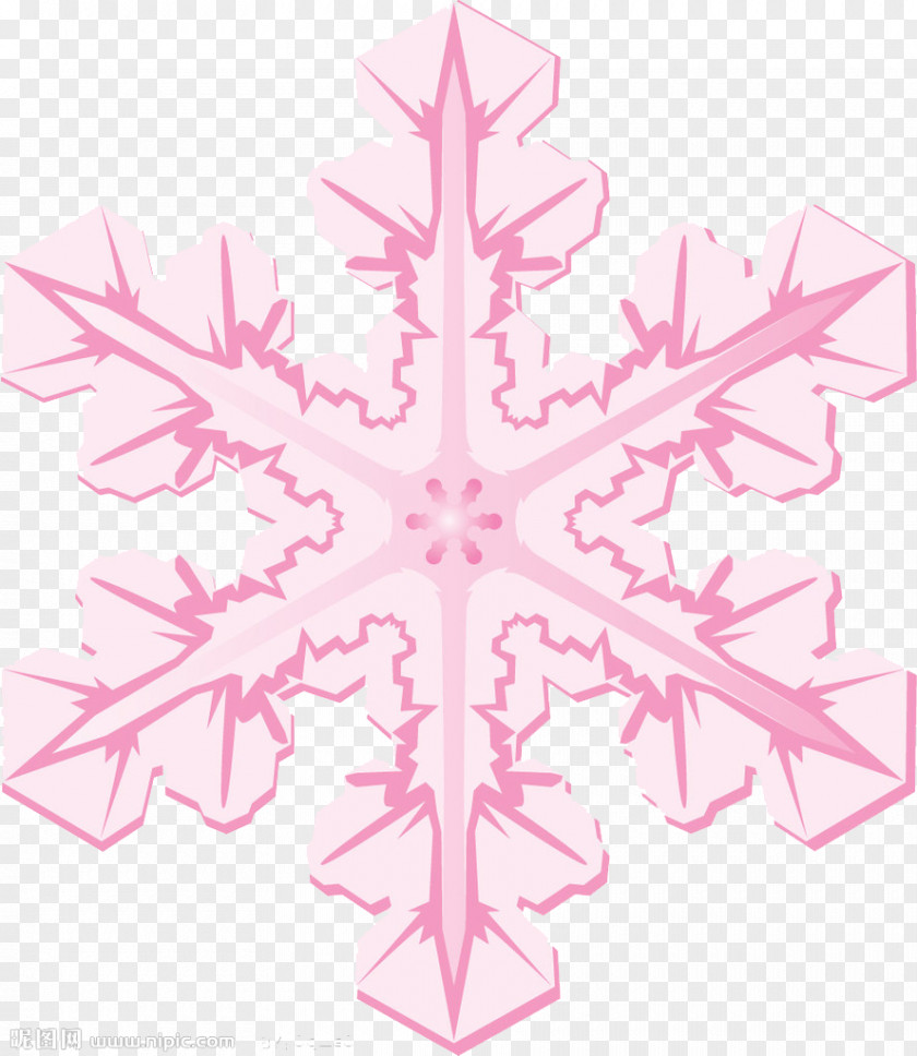 Pink Snowflake Shape Icon PNG