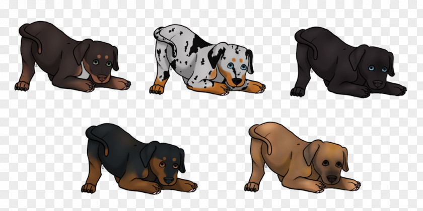 Puppy Dog Breed Shoe PNG