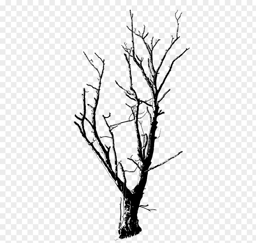 Tree Clip Art Drawing Branch Image PNG