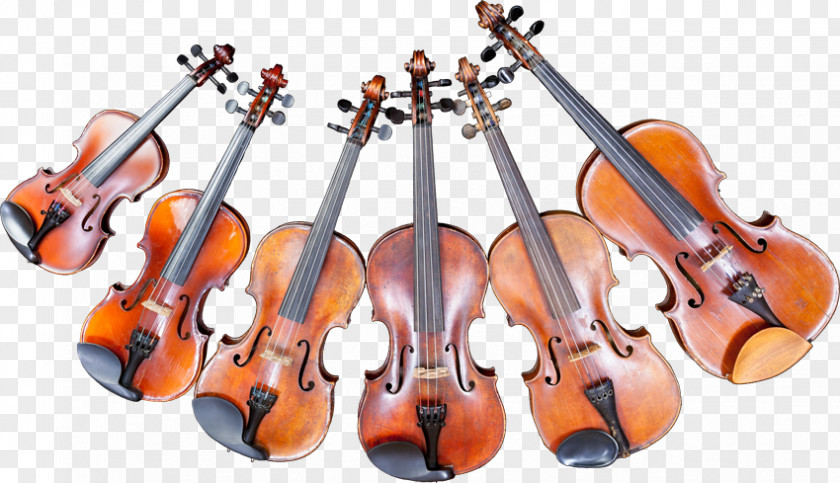 Violin Bass Viola Double PNG