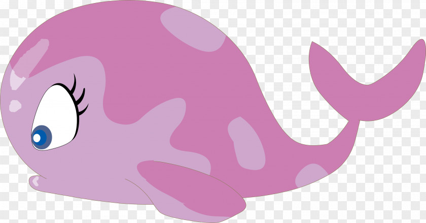 Cute Vector Dolphin Dolphin, Sea PNG
