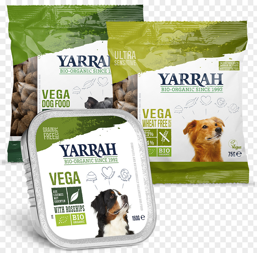 Dog Food Cat Animal Feed PNG