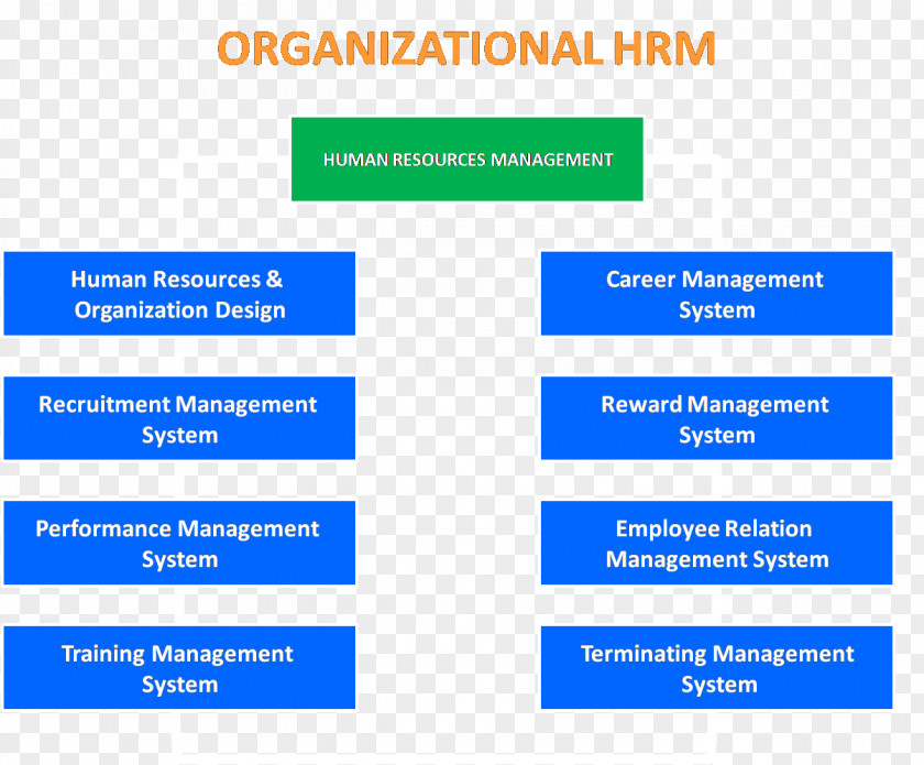Human Resource Management System Organization PNG
