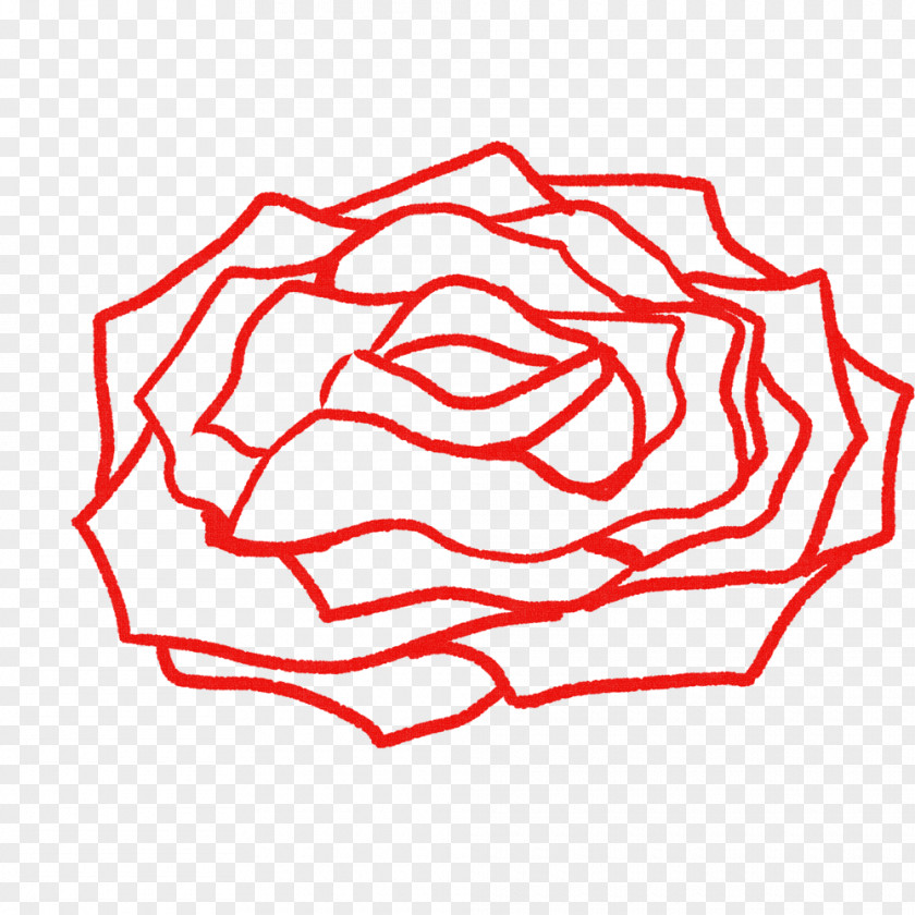 Rose Clip Art Illustration Drawing PNG