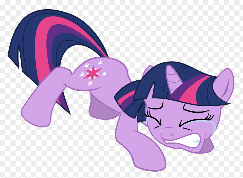 Cat Twilight Sparkle Pony Rainbow Dash PNG
