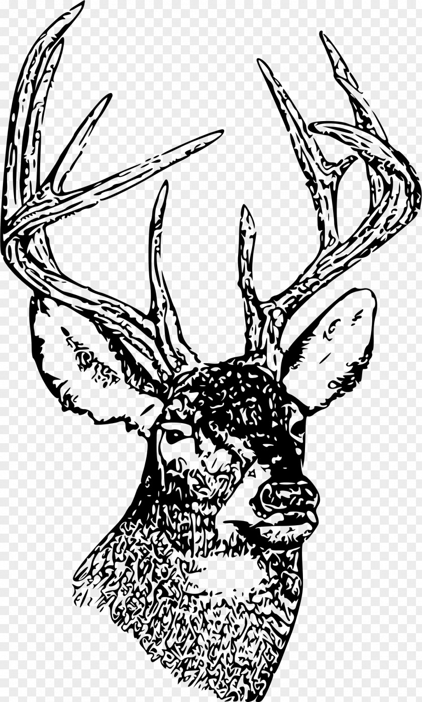 Deer Head White-tailed Moose Clip Art PNG