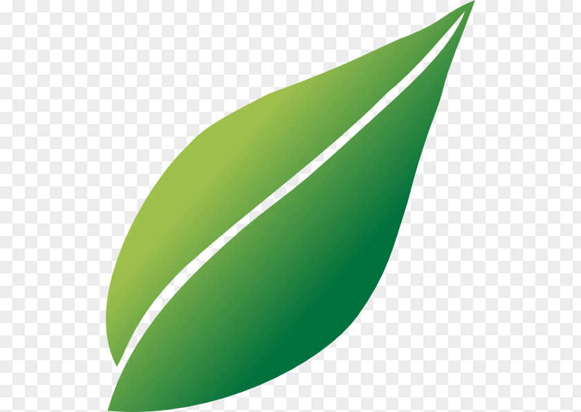 Line Leaf Angle Green PNG