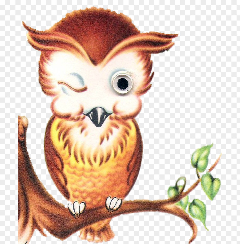 Owl Bird Of Prey Beak Illustration PNG