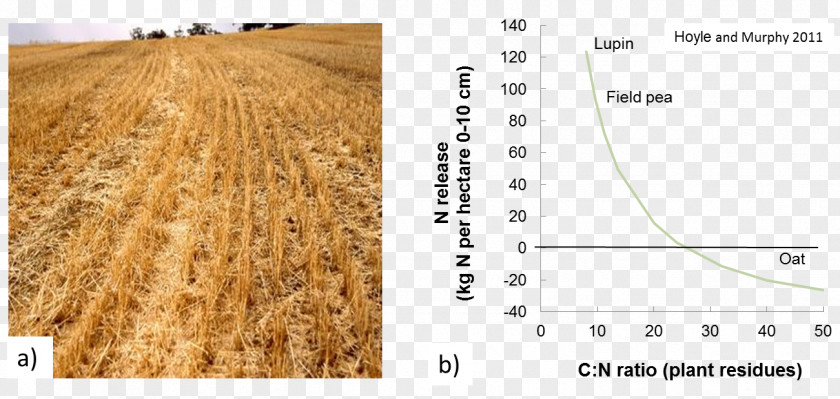 Pollution-free Soil Eggs Carbon-to-nitrogen Ratio Crop Residue Immobilization PNG