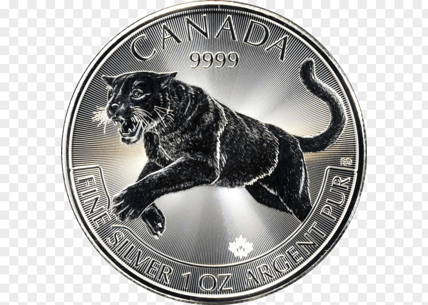 Tiger Coin Canada Cougar Silver PNG