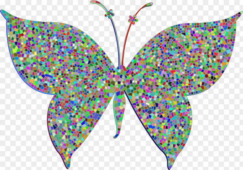 Butterfly Insect Moth Color Clip Art PNG