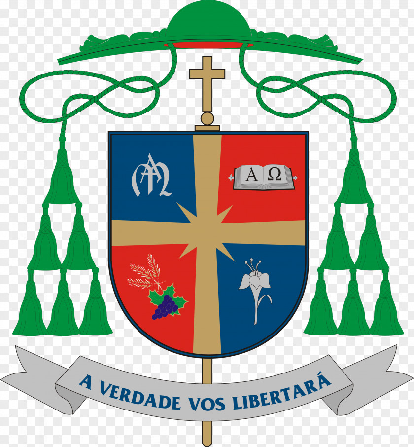 Diocese Roman Catholic Archdiocese Of Ribeirão Preto Olinda E Recife São Paulo Archbishop PNG