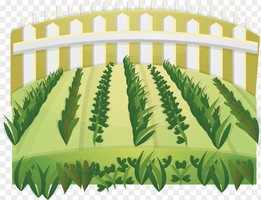 Field Vector Euclidean Crop PNG