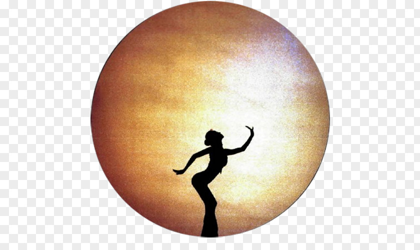 Peacock Dance Silhouette Supermoon Lunar Phase Full Moon PNG