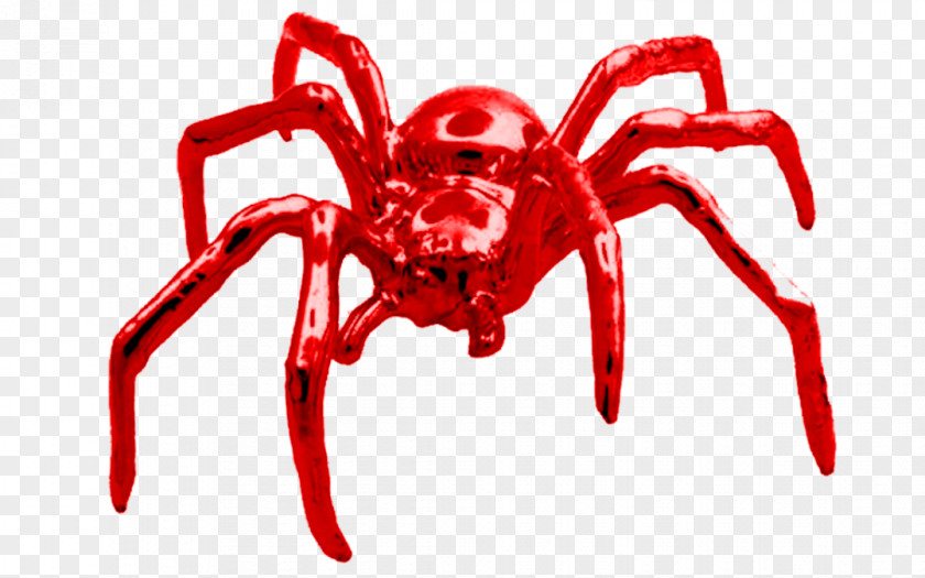 Red Spider Spider-Man PNG