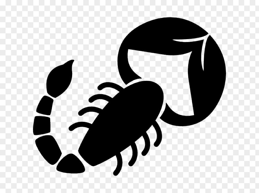 Scorpion Zodiac Astrological Sign Shape PNG