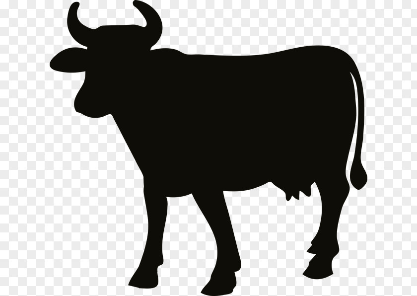 Silhouette Beef Cattle Angus Charolais Ox PNG