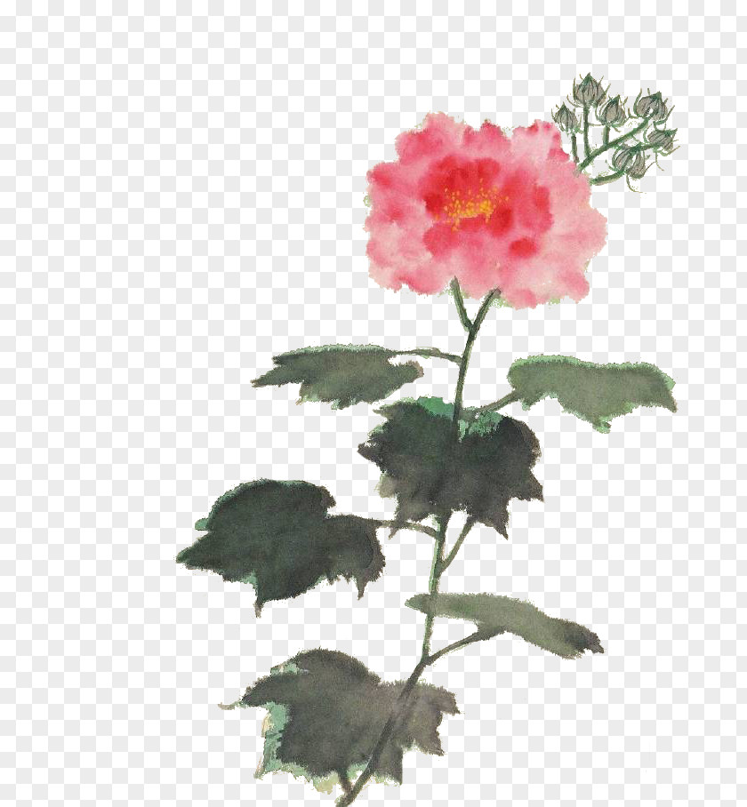 Watercolor Flowers Watermark Flower Painting Gratis PNG