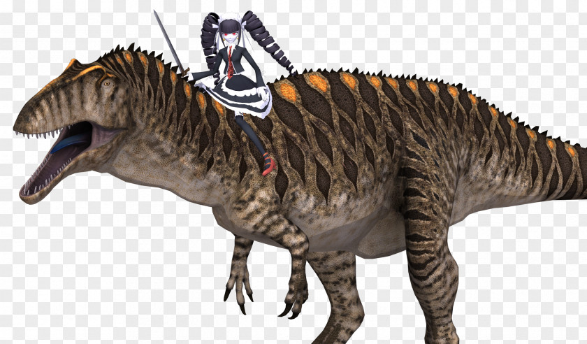 Dinosaur Tyrannosaurus Allosaurus Acrocanthosaurus Spinosaurus Velociraptor PNG