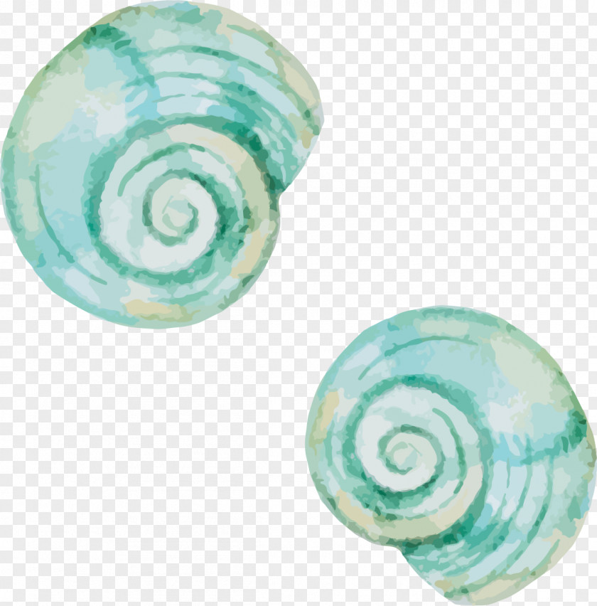 Green Conch Mollusc Shell Seashell Snail PNG