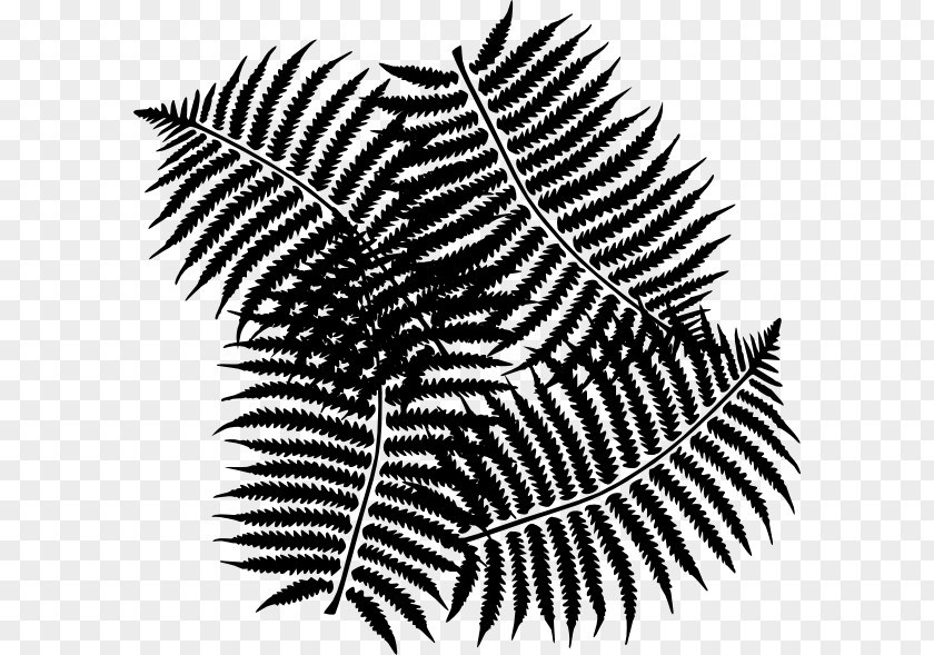 M Pattern Line Leaf Black & White PNG