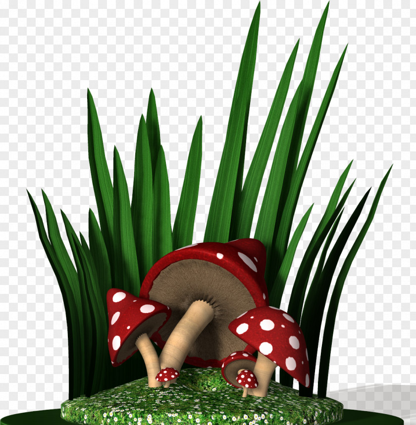 Mushroom Clip Art Image Download PNG