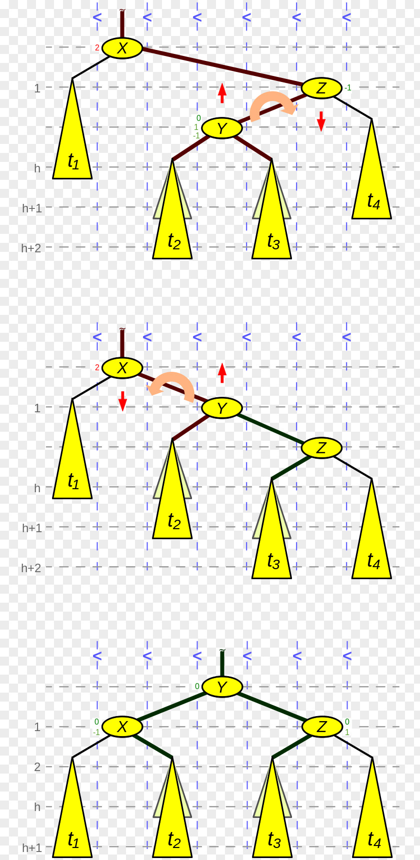 Tree AVL Computer Science Binary Search Algorithm PNG