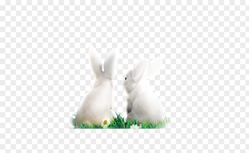 White Rabbit Decoration Pattern Domestic Easter Bunny PNG