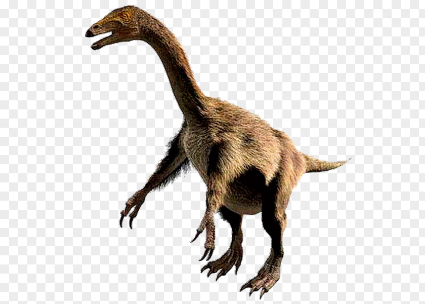 Dinosaur Allosaurus Nothronychus Ankylosaurus Zuniceratops Tyrannosaurus PNG