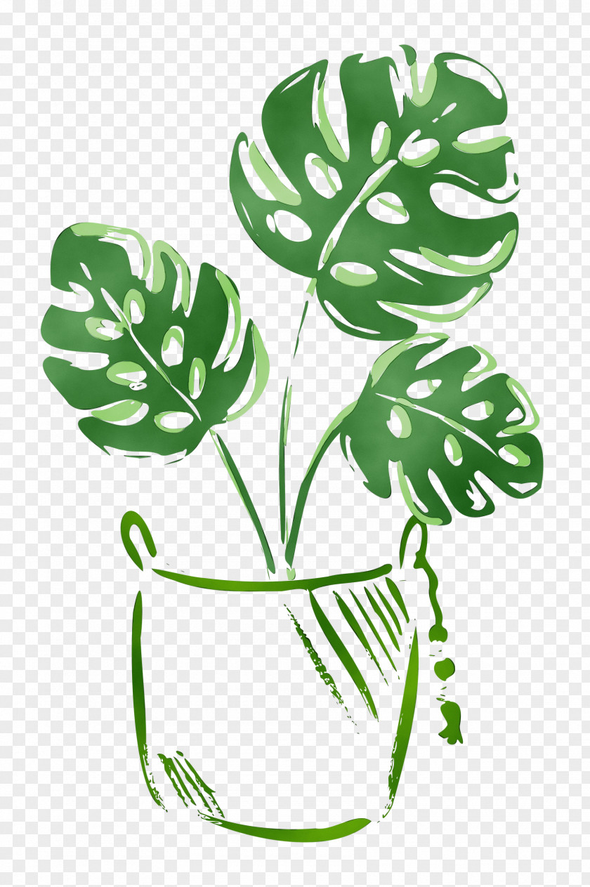 Flower Line Art Fractal Drawing Cartoon PNG