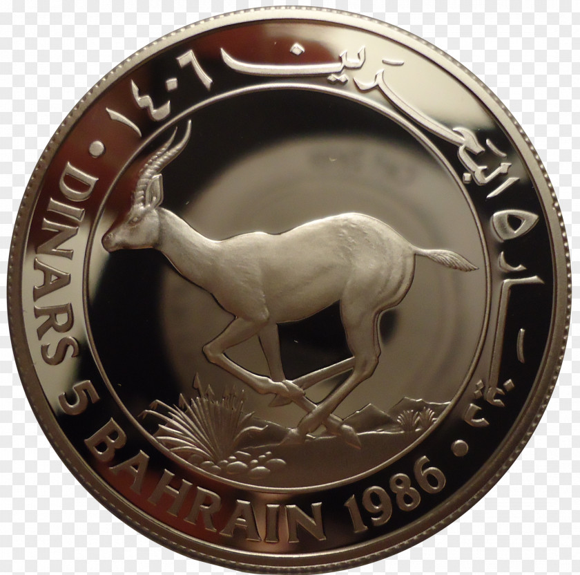 Gazelle Silver Coin Goitered Gazella Subgutturosa Marica PNG