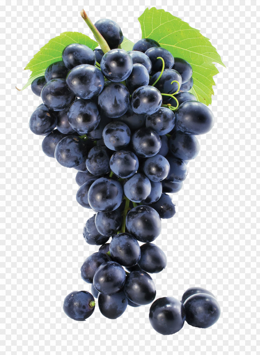 Grape Common Vine Leaves Seed Extract Must PNG