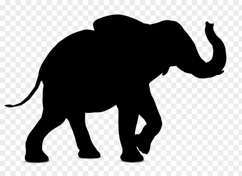 Illustration Indian Elephant Image Silhouette PNG