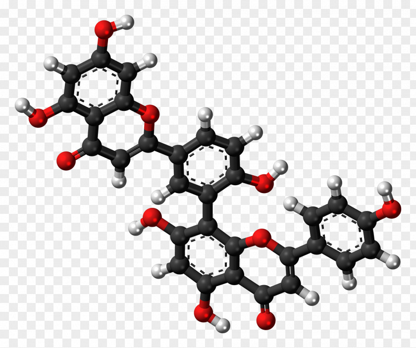 Molecules Perforate St John's-wort Amentoflavone Hypericin Hypericum Erectum Biflavonoid PNG