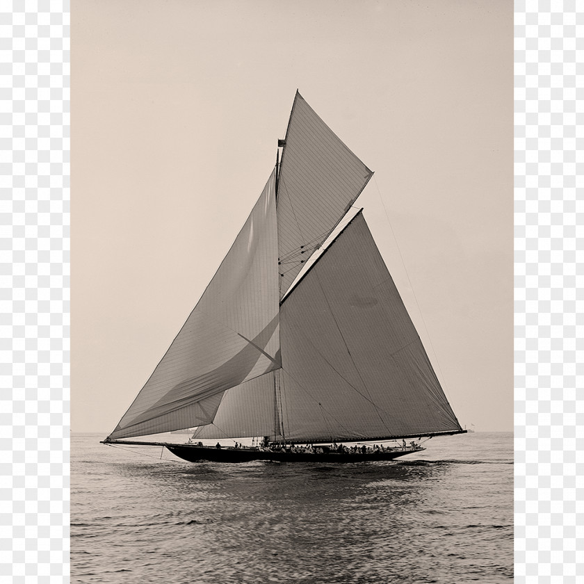 Sail Sailing The America's Cup Sloop PNG