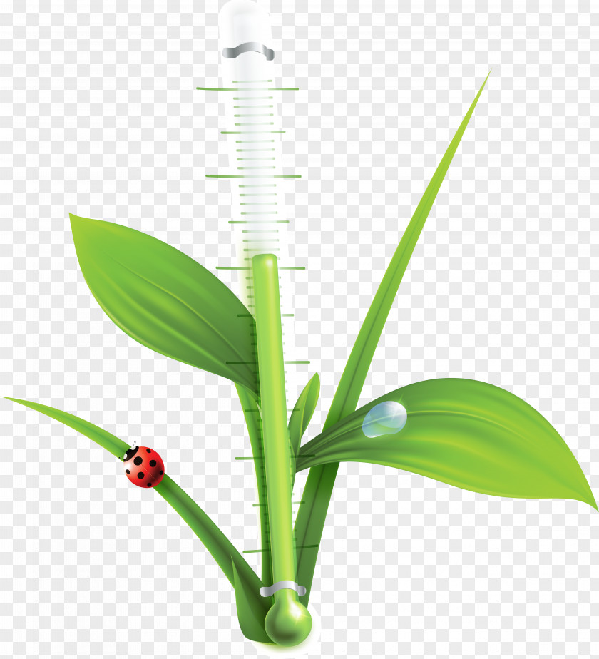 TERMOMETRO Thermometer Temperature PNG