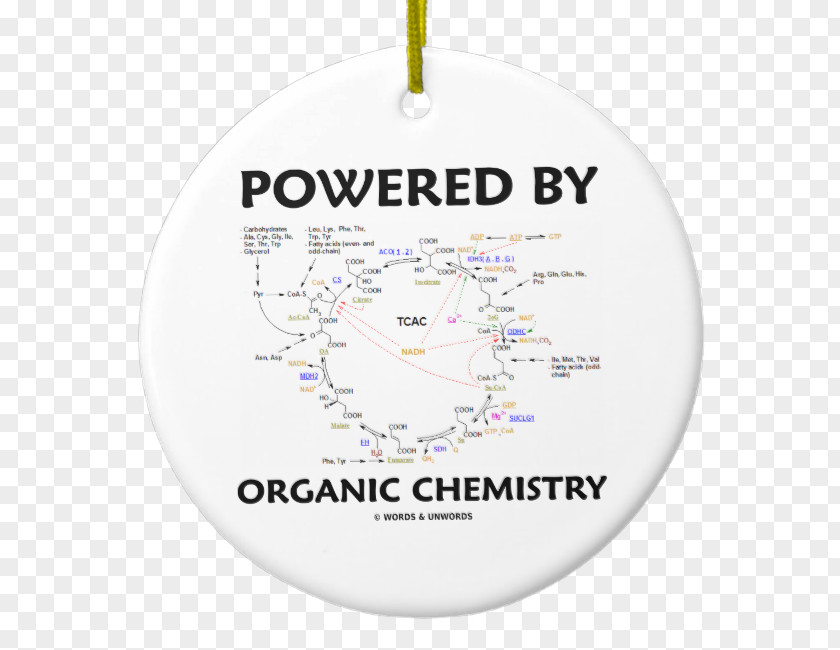 Citric Acid Cycle Biochemistry Organic Chemistry PNG