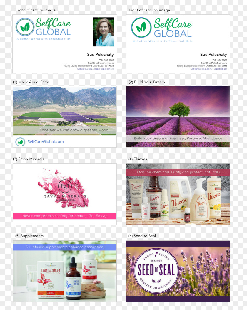 Design Graphic Brochure Web Page PNG