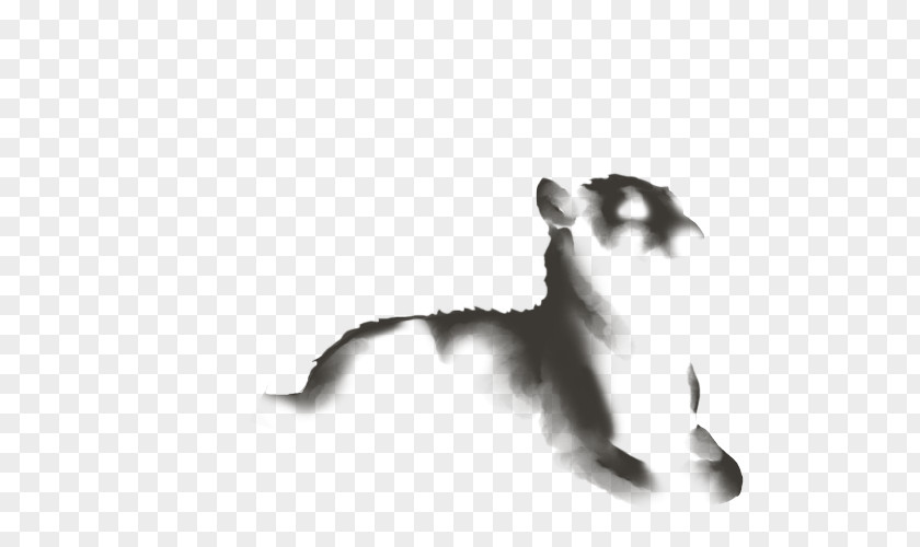 Fuzzy Light Cat Wikia Lion Dog PNG
