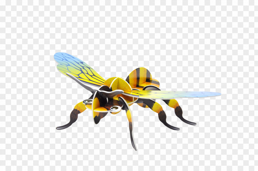 Insect Honey Bee Hornet Three-dimensional Space Shape PNG