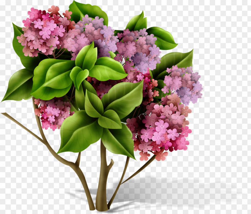 Flower Render PNG