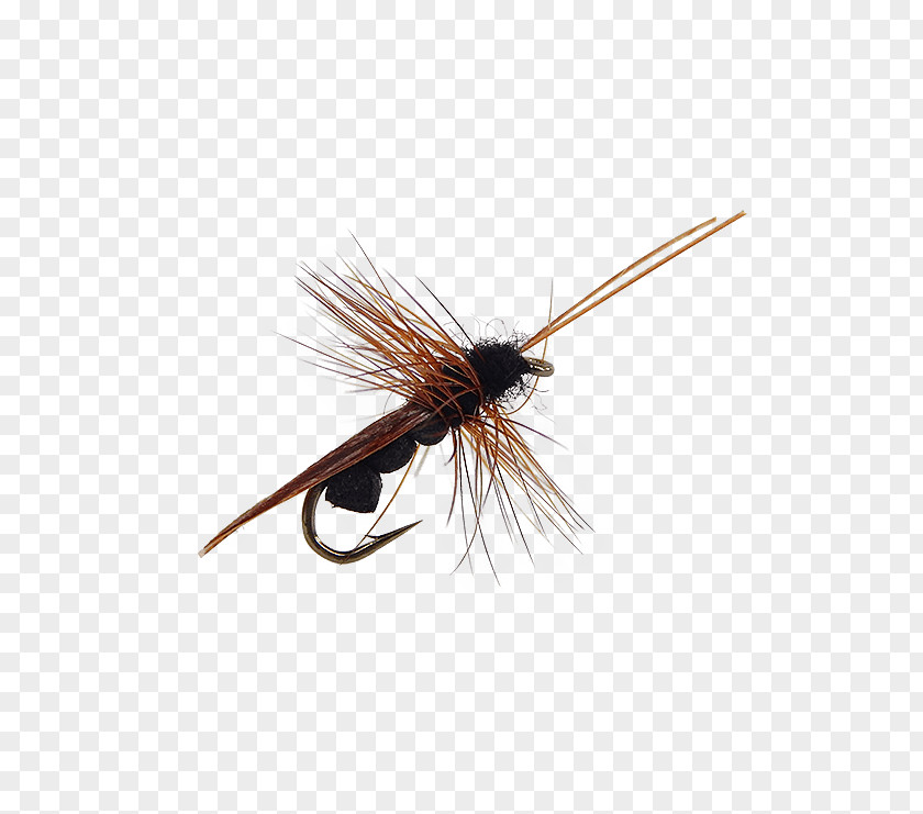 Fly Tying Artificial Insect Mosquito Mayfly PNG