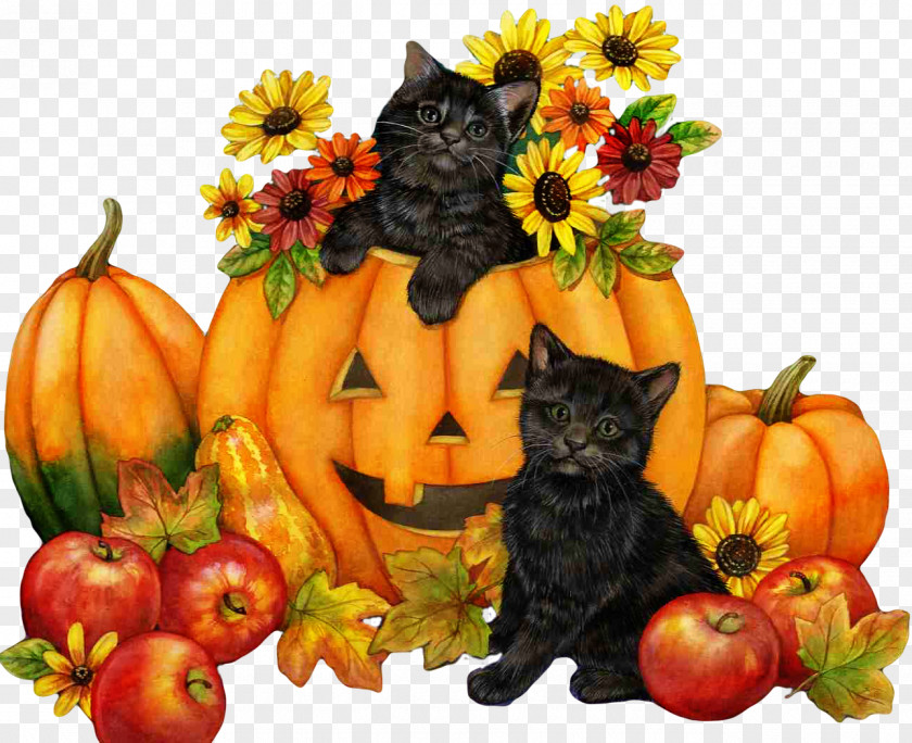 Halloween Cat Kitten Clip Art PNG
